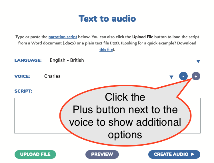 Text to Speech additional options Text to Speech additional options