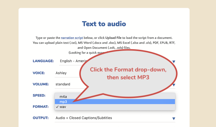 Select MP3 from the format box to make text to speech MP3 files Select MP3 from the format box to make text to speech MP3 files