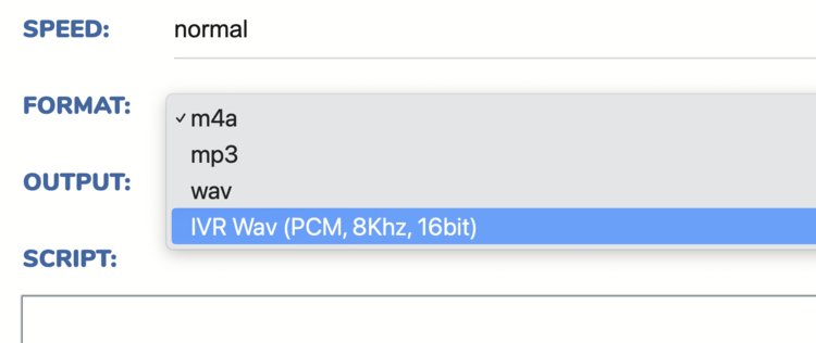 IVR WAV format option IVR WAV format option